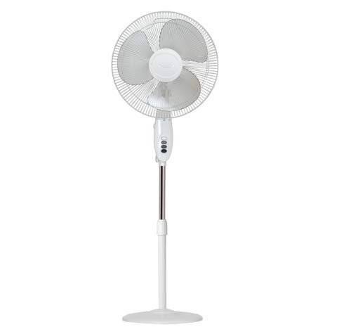 Pedestal Fan